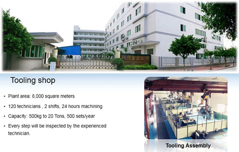 Precision Mould Parts, Injection Molding Processing Factory